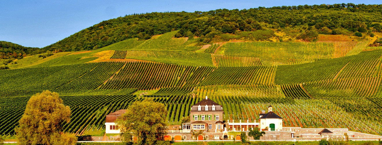 Weingut Zach. Bergweiler Prüm Erben 