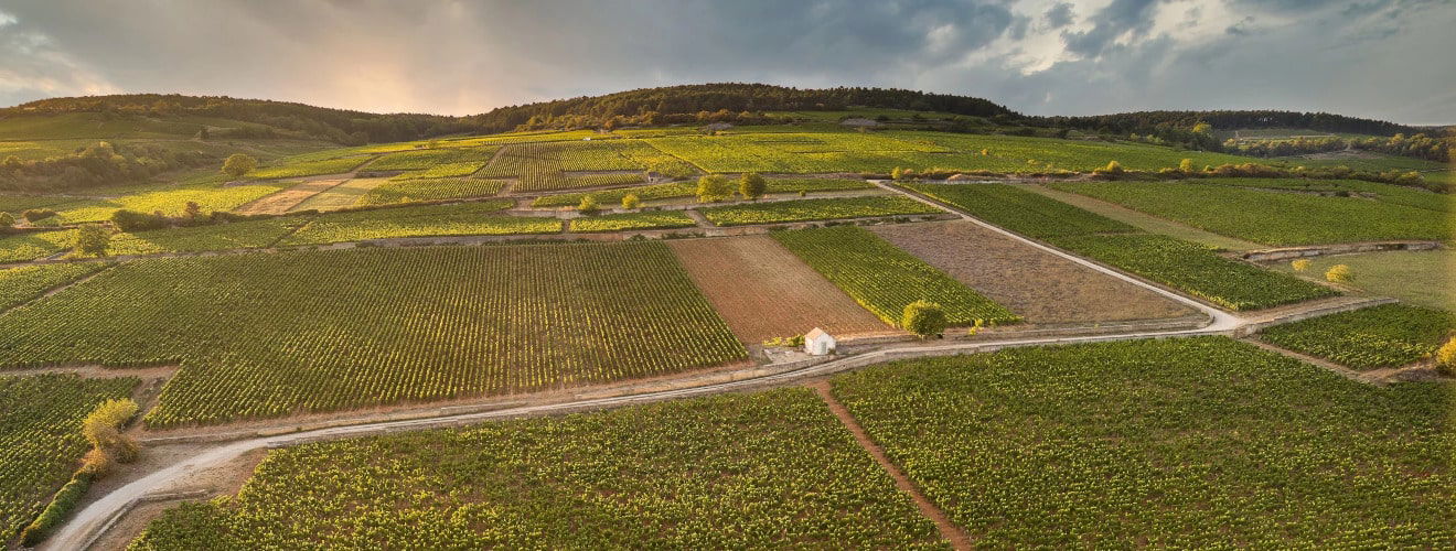 Domaine Joseph Drouhin