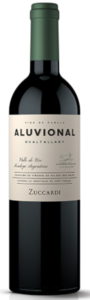 2016 Aluvional Gualtallary