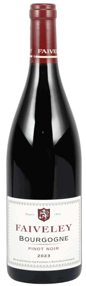 2023 Bourgogne Pinot Noir