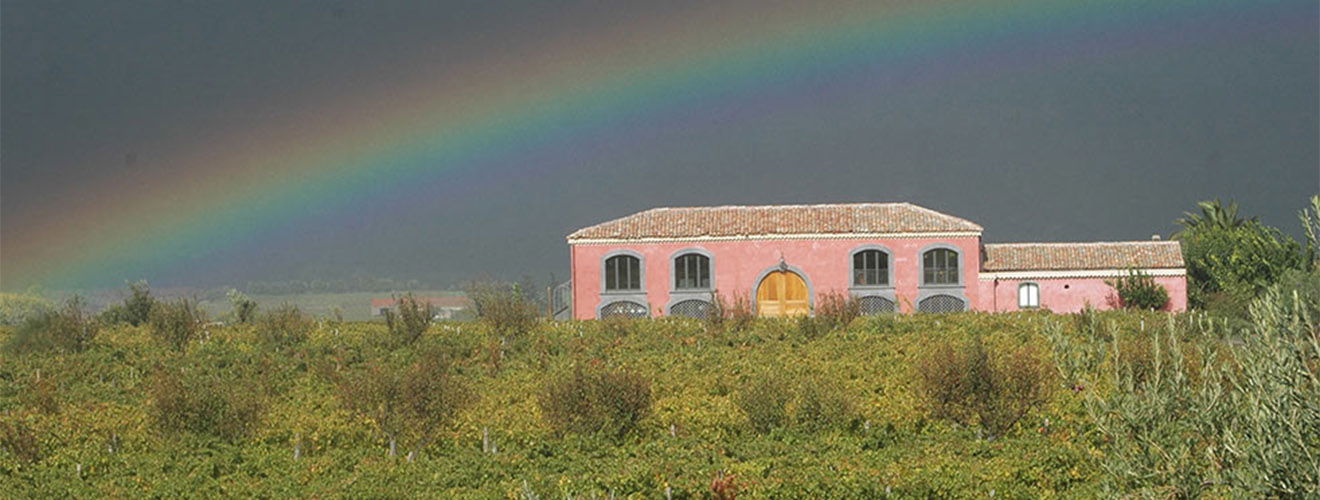 Tenuta delle Terre Nere