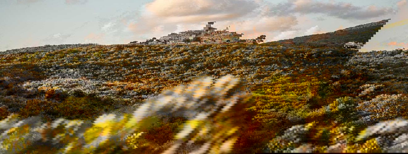 Monteverro