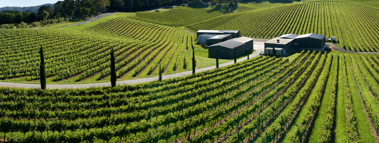 Penfolds Penfolds