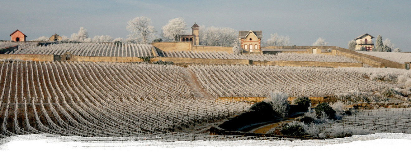 Domaine Pierre Morey & Morey-Blanc