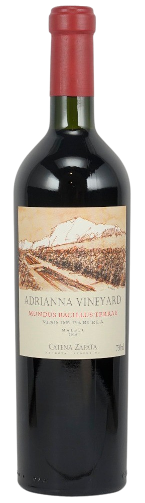 2019 Adrianna Vineyard - Mundus Bacillus Terrae | DMG