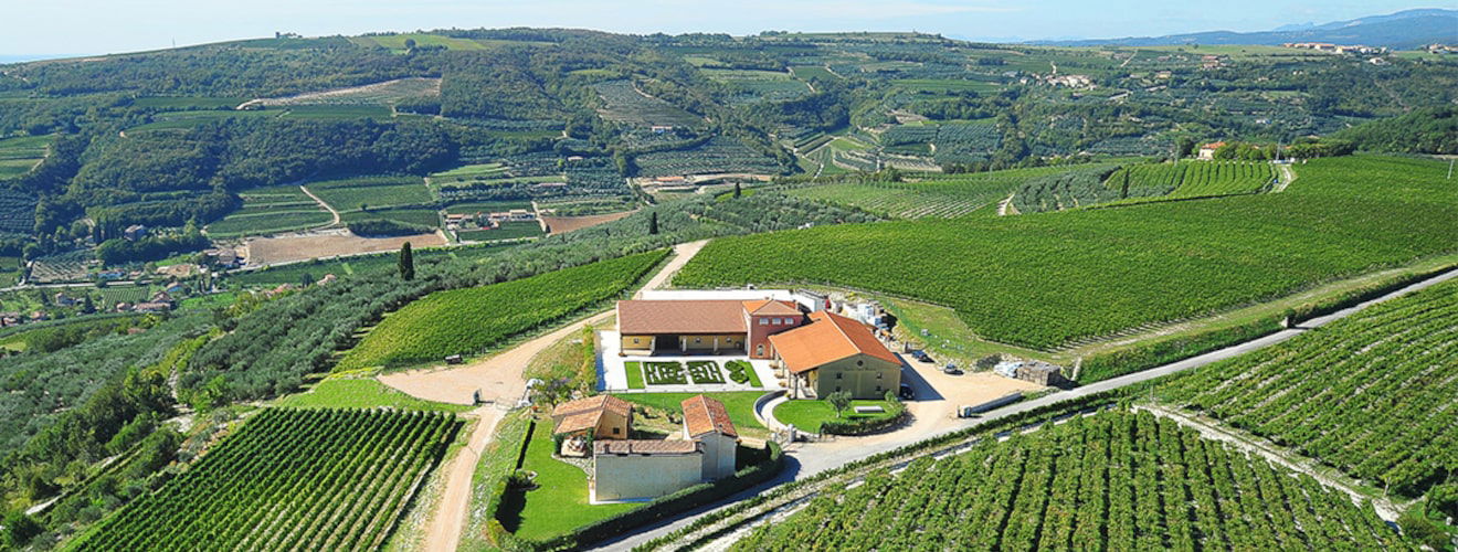 Tenuta Sant'Antonio