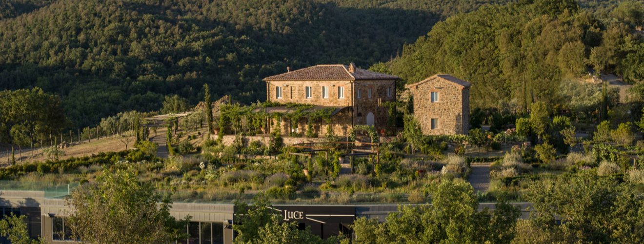 Tenuta Luce | Frescobaldi