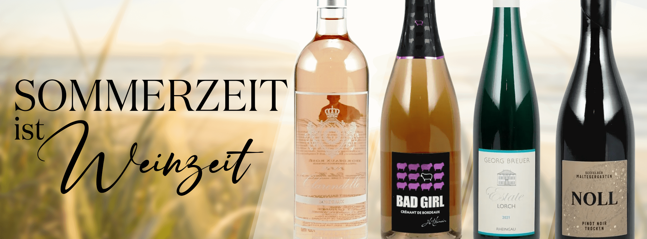 Sommerzeit ist Weinzeit