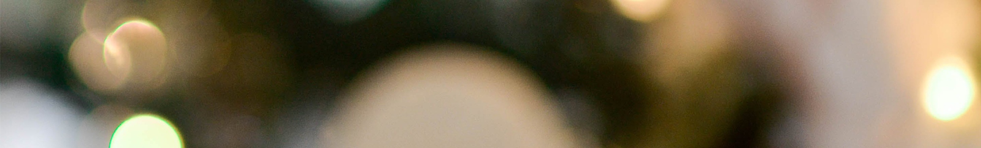 Banner Bild