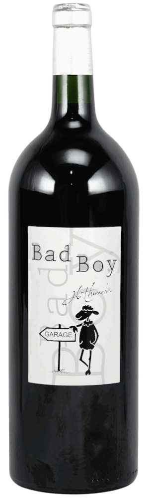 2020 Bad Boy | MG