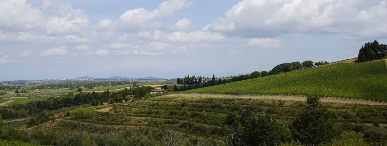 Tenuta Tignanello | Antinori