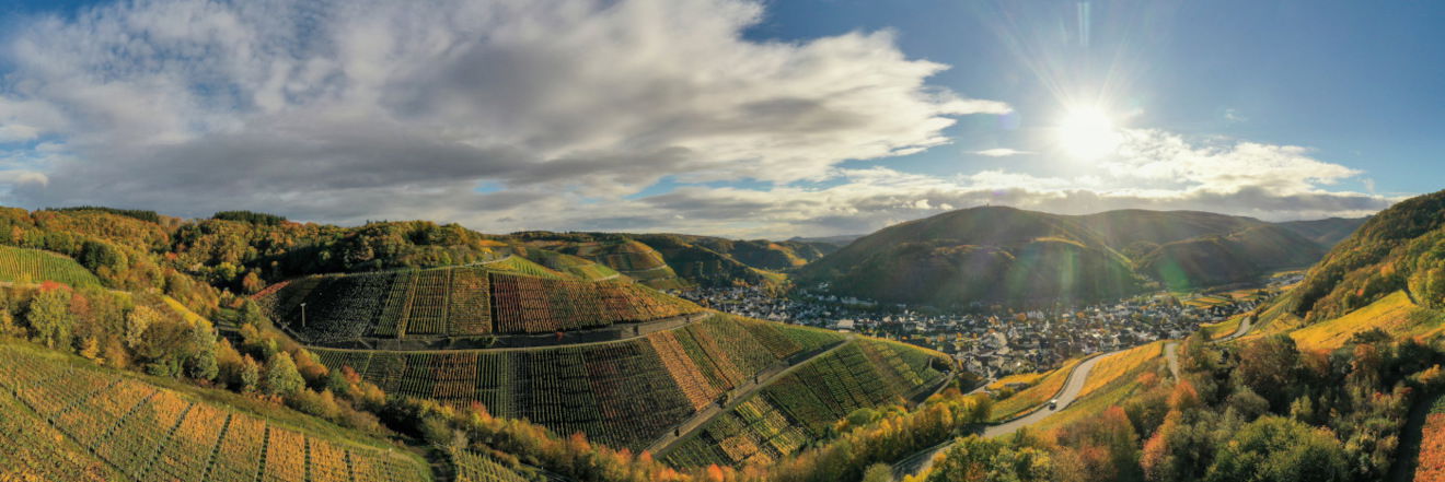 Weingut Bertram Baltes