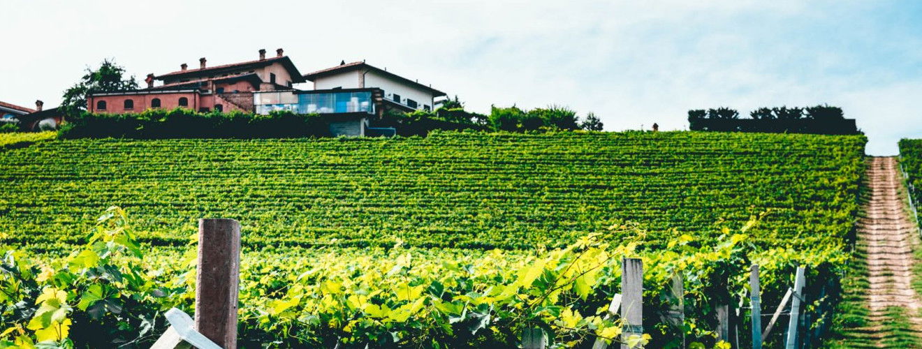 Azienda Agricola Elio Altare