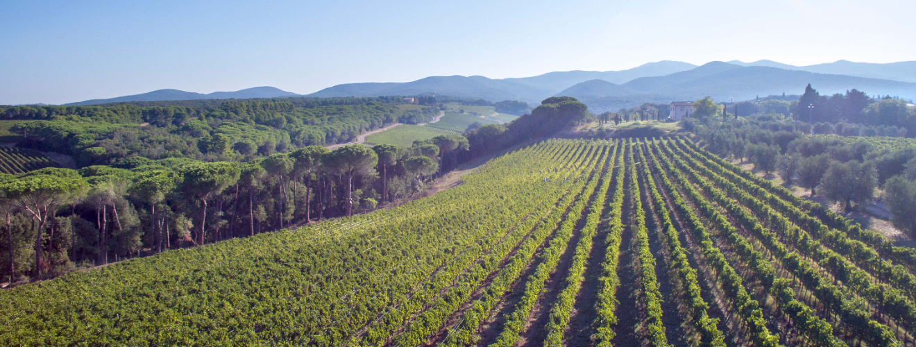 Tenuta di Biserno