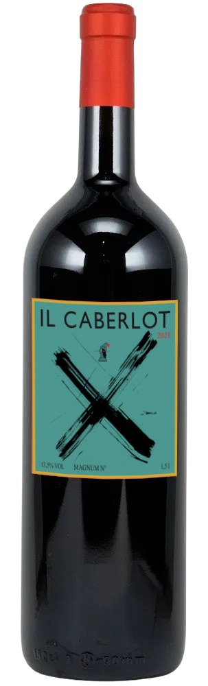 2021 Il Caberlot | DMG