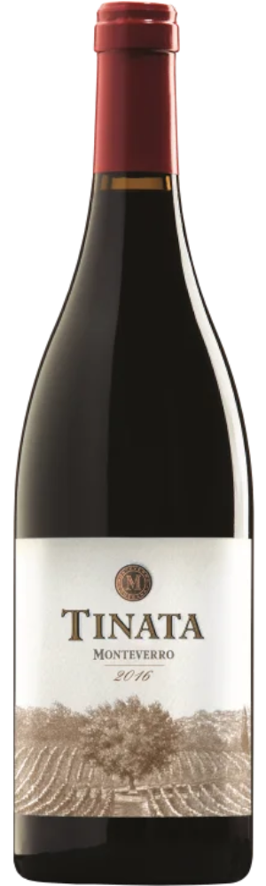 2016 Monteverro Tinata 