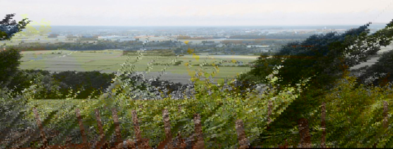 Domaine Etienne Sauzet