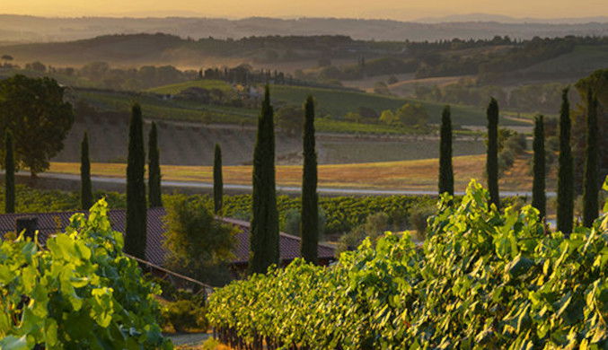 frescobaldi-italienische-weine-vino-nobile-montepulciano-logo