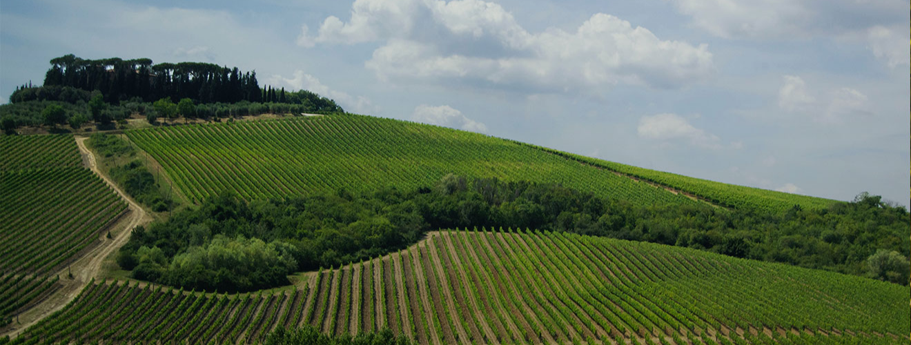 Bodegas Lopez de Heredia