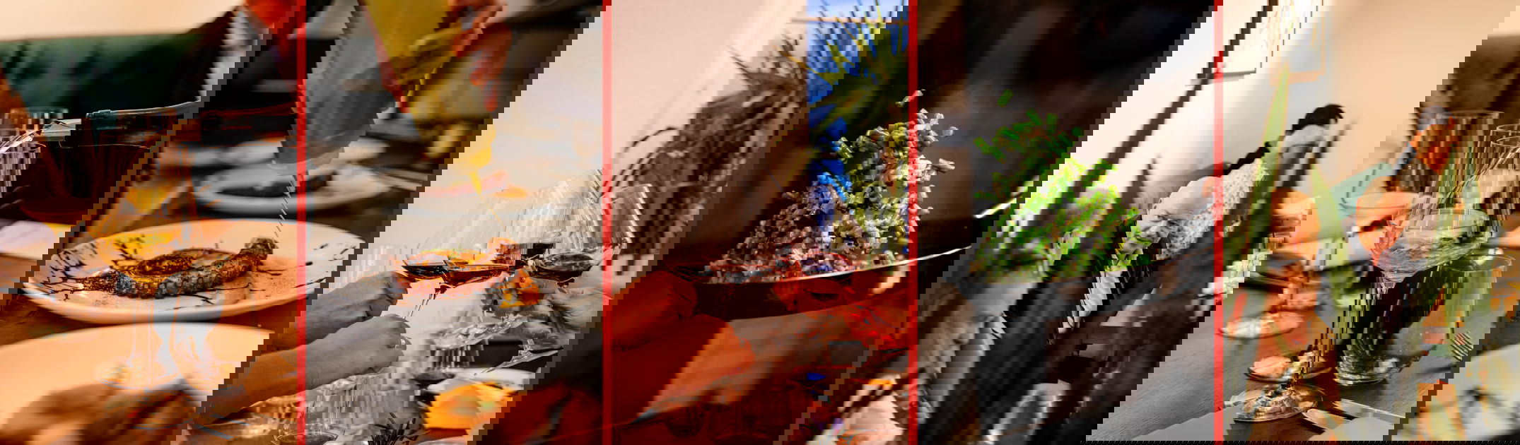 Banner Bild