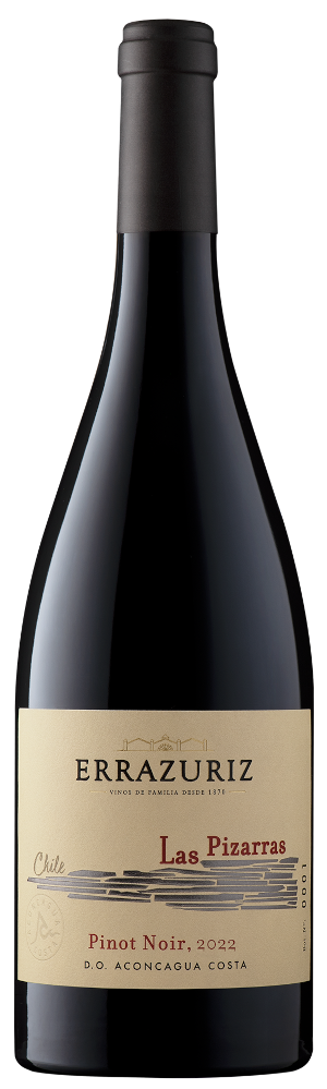 2022 Pinot Noir "Las Pizarras"